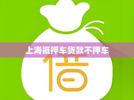 上海抵押车贷款不押车