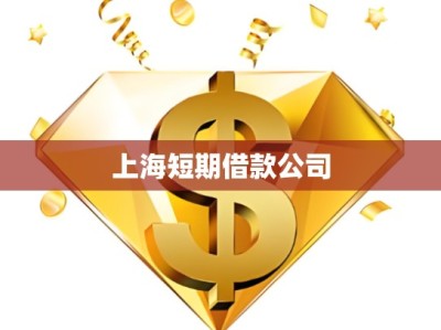 上海短期借款公司