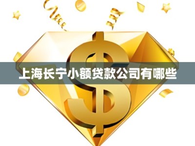 上海长宁小额贷款公司有哪些
