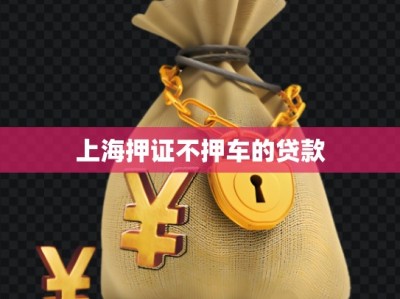 上海押证不押车的贷款