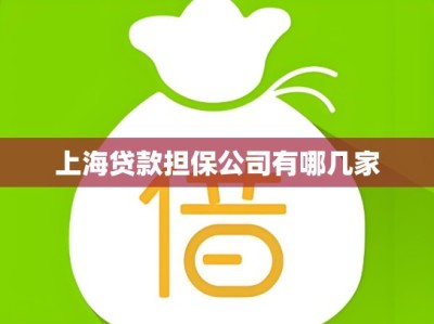 上海贷款担保公司有哪几家
