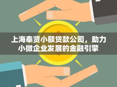 上海奉贤小额贷款公司，助力小微企业发展的金融引擎