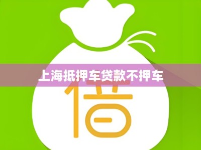 上海抵押车贷款不押车
